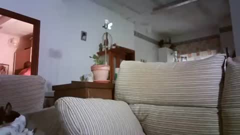 LOLA HUESO y ERIC online show from October 11, 8:19 am