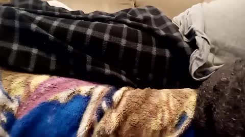 looking4bush online show from December 1, 7:38 pm