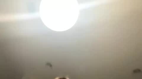 Love online show from January 24, 10:51 pm