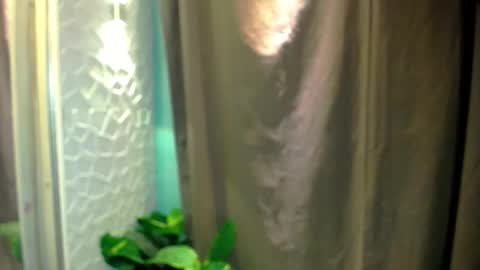 Thea  online show from April 20, 6:16 am