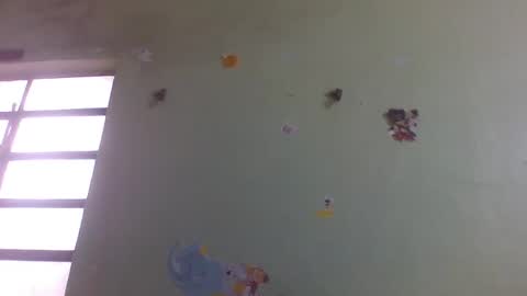 lpmauriciosantamaria online show from December 1, 12:58 pm