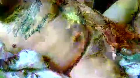 lucky134u online show from April 6, 11:44 am