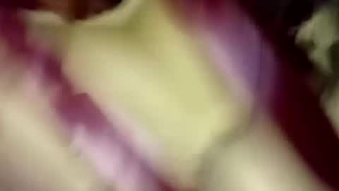 Snapshot of luis_hunk chatting on September 13, 7:55 am Andrew online show from September 13, 7:55 am