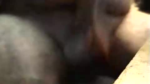 lukestarfckr online show from September 26, 10:45 am