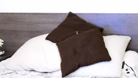 Lukhas f4f online show from October 21, 2:16 am