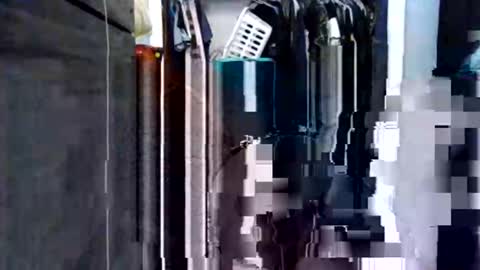 lunamoonstonethefox online show from January 31, 8:17 pm