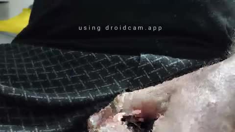 lutorres online show from January 15, 6:00 am