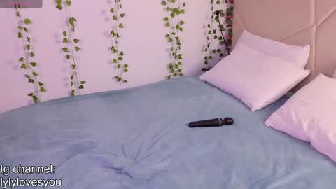 Lyly   online show from February 1, 5:37 am