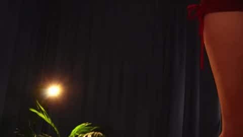 Lynn online show from November 18, 2:42 pm