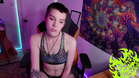 Lynx Anarres online show from January 8, 3:29 am