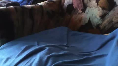 macho9385 online show from September 23, 9:36 am