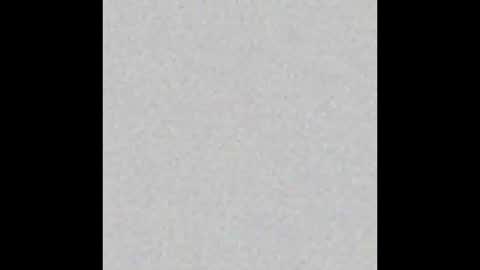 Madison   online show from March 26, 1:38 pm