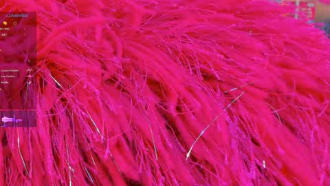   online show from November 14, 3:20 am