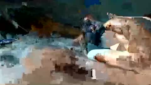 Sweet online show from December 1, 2:42 am