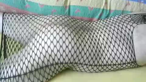 maestro2017 online show from April 11, 7:56 am