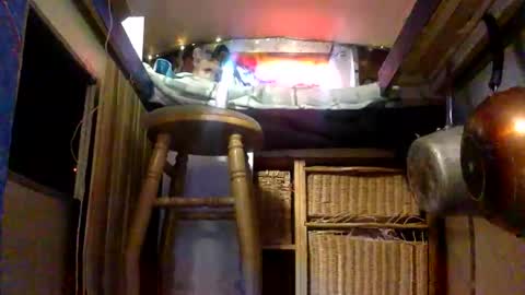 Gaia Love online show from March 6, 10:20 pm