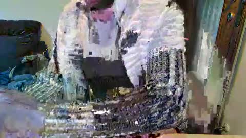 maialinofriuli online show from October 5, 10:28 pm