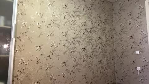 DIna online show from April 9, 2:12 pm