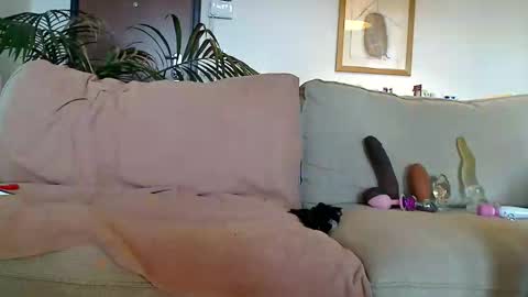 Sissy in stockings online show from December 7, 12:51 pm