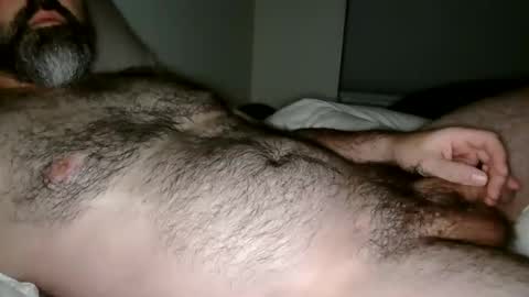 Man Dime Bear17 online show from December 4, 4:01 am