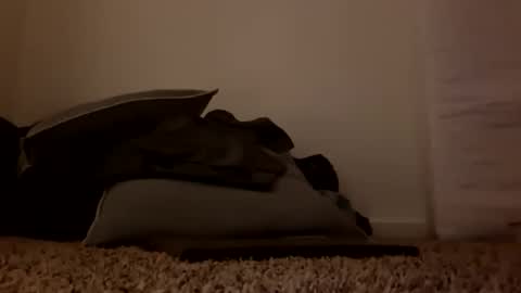 Jan and Man online show from March 14, 8:29 am