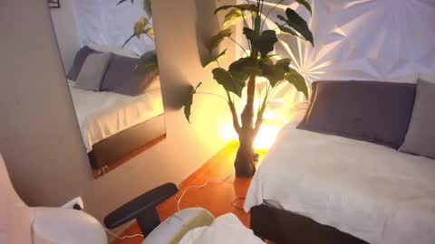 Vane online show from November 28, 12:01 pm