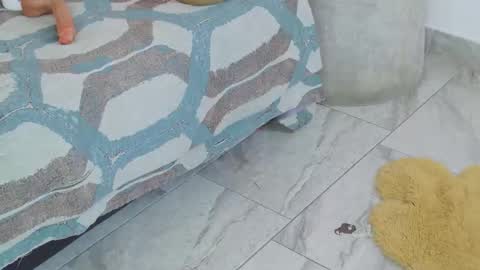 Maria Pettit online show from October 25, 11:42 am