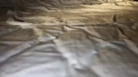 mark_nips02 online show from February 23, 11:51 pm