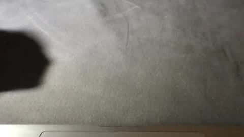 mark_nips02 online show from April 23, 8:54 pm