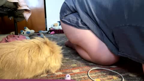 Snapshot of maroon_moon chatting on February 17, 7:55 pm maroon_moon online show from February 17, 7:55 pm