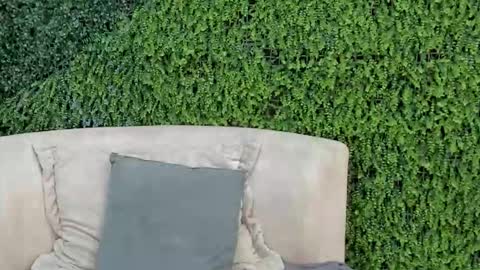 martina_mills online show from November 2, 8:09 pm