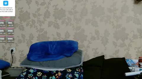 martinbrux online show from May 1, 8:58 pm