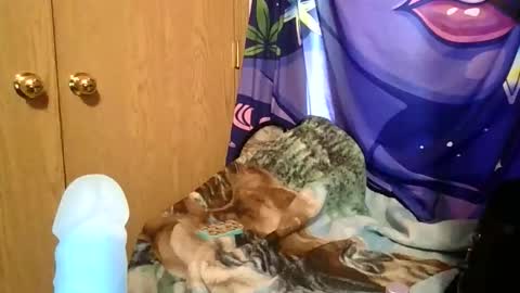 Masked Mami online show from February 3, 9:52 pm