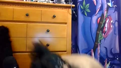 Masked Mami online show from April 25, 4:58 am