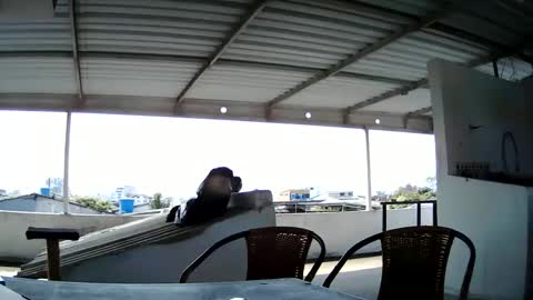Snapshot of master_cospi96 chatting on February 14, 2:54 pm Master Cospi online show from February 14, 2:54 pm