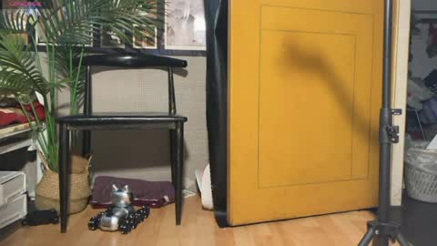 SuSu online show from April 2, 1:46 am