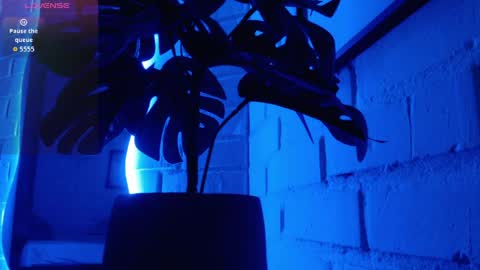 MATEO HUNTER online show from April 15, 6:17 am