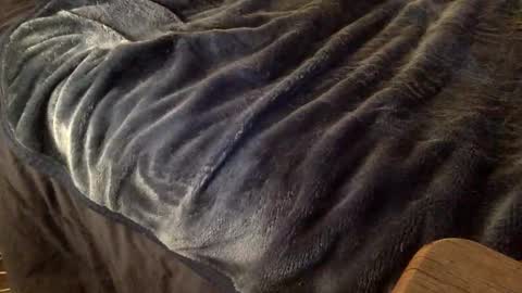 Ignacio online show from October 9, 3:56 am