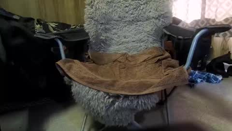 Max online show from February 9, 3:43 am