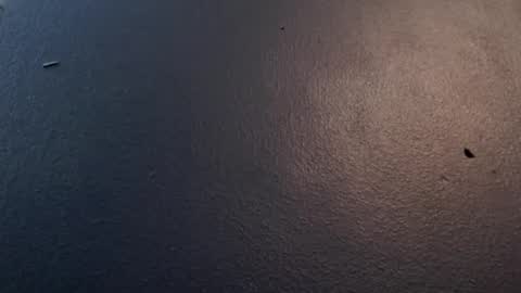 Max and Pam Voyeur Cam online show from January 29, 5:09 am