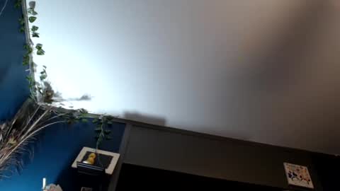 Max and Pam Voyeur Cam online show from February 16, 7:48 am