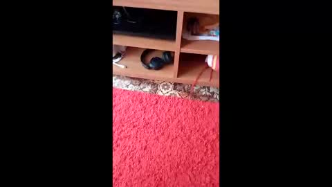 mazlicek1987 online show from November 10, 9:12 am