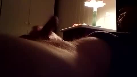 mefiu4444 online show from March 22, 10:47 pm