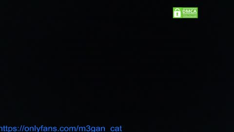 megan_cat online show from July 4, 5:16 pm