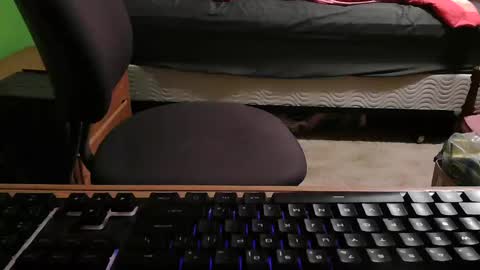 GlamTransGoddess online show from January 15, 10:13 pm