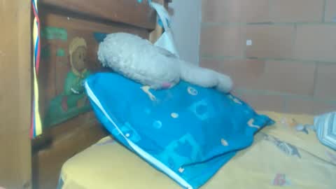 Danny online show from February 12, 1:26 pm