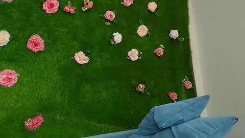 megatitts_ online show from November 29, 3:41 pm