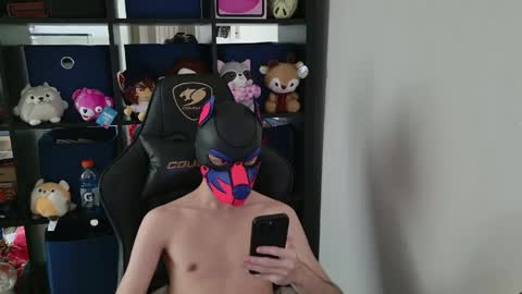 MellPUP online show from May 4, 9:43 pm