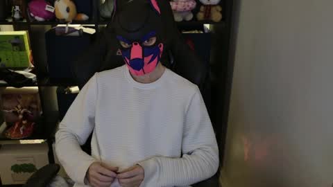 MellPUP online show from April 7, 7:21 am