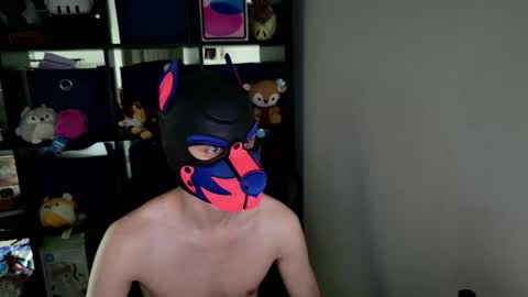 MellPUP online show from May 26, 3:40 pm